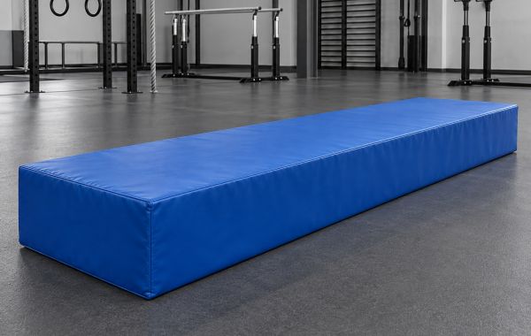 Мат спортивный ПВХ 500×100×50 см, поролон 23 кг/м³